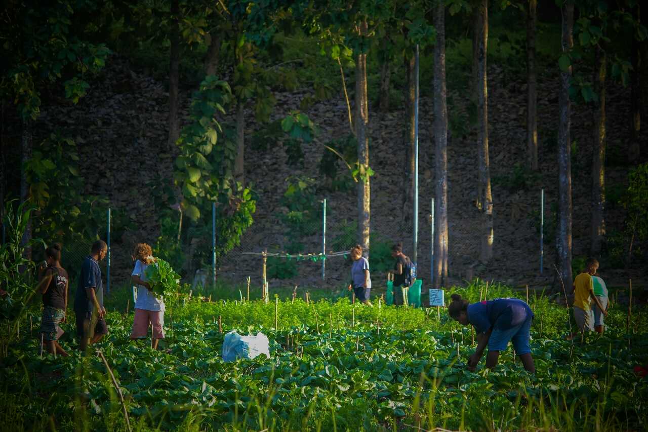 Agriculture, Forestry & Mining